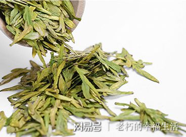 什么人不适合喝龙井茶 龙井茶的十大禁忌