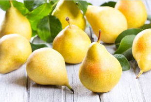 什么季节吃梨子最佳 女人为什么要少吃梨