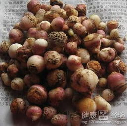 什么人不能吃半夏 吃半夏有什么好处