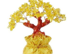 什么植物五行属火最旺 五行属火最带财的花