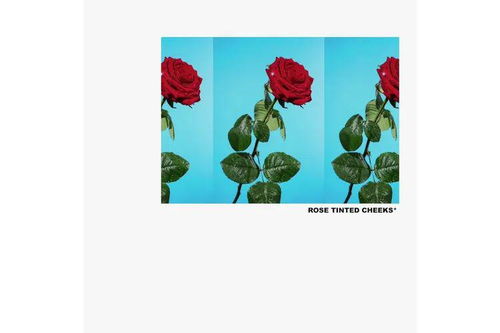 代表唯一挚爱的花 最隐晦表达爱意的花