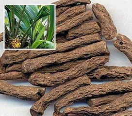 仙茅泡水喝的功效 仙茅配什么壮阳效果好