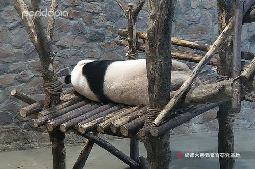 代表夏天的自然事物 象征夏天的事物20个