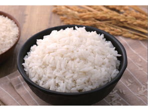 低糖食物一览表 代替米饭的低糖主食