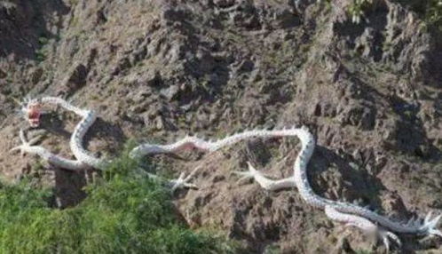 佛说为什么要隐瞒龙的存在 为什么曾老说2024的龙是水龙