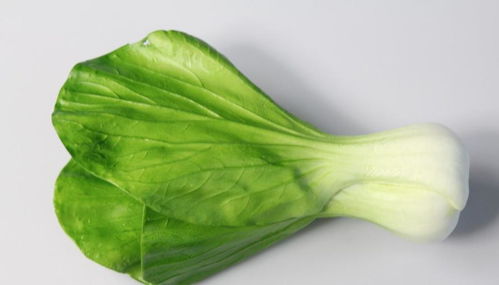 儿菜什么人不能吃 哪些人不能吃瓢儿菜