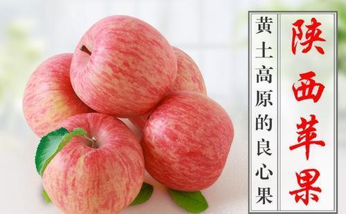 全国十大苹果排名第一 十大公认最好吃的苹果