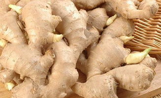保存生姜最正确的方法 鲜姜保存的6种方法