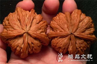 全球最贵的核桃1个亿 天价核桃一亿图片