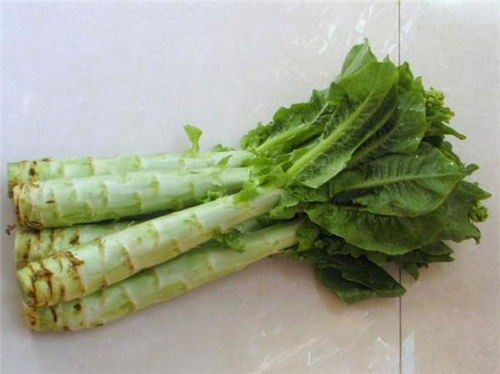 八月份可以种莴笋吗 立秋后可以种莴笋吗