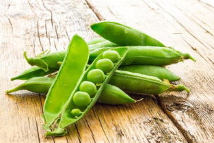 八月可以种豌豆的地方 立秋后可以种豌豆吗