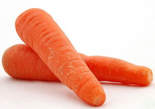 八月份还能种胡萝卜吗 立秋后多长时间种胡萝卜