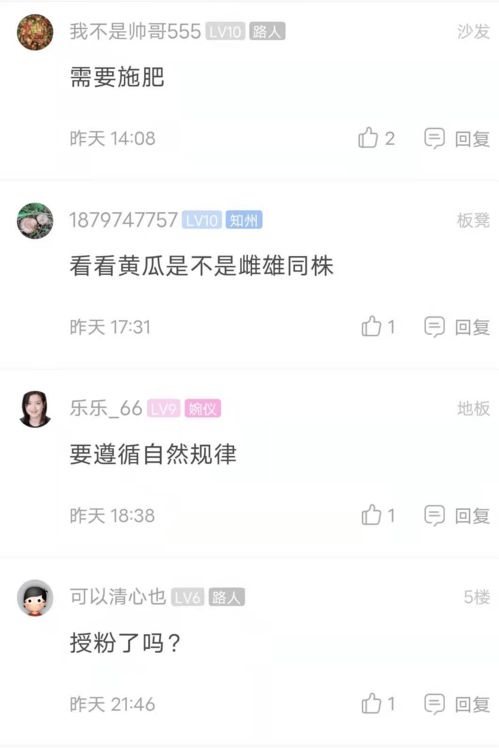 八月份还能种黄瓜吗 八月份种黄瓜晚不晚