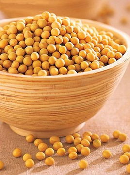 八月黄豆什么时候下种最佳 八月份播黄豆晚不晚