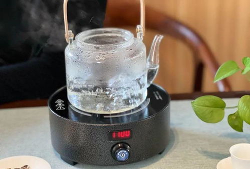 六月雪夏天喝最好吗 六月雪能经常当茶喝吗