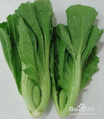 减肥为什么不让吃裙带菜 什么蔬菜刮油减肥最有效