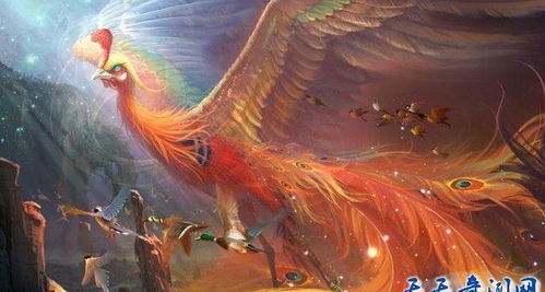 凤凰代表了什么精神 凤凰代表一个人象征什么