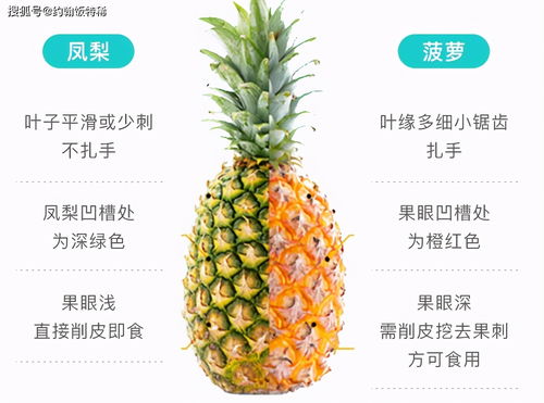 凤梨好吃还是菠萝好吃 凤梨和菠萝是一种东西吗