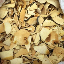 制何首乌伤肝还是养肝 制何首乌吃多久会肝损伤