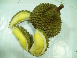 剥开的榴莲没熟怎么办 已剥开的榴莲肉偏生 还能捂熟吗