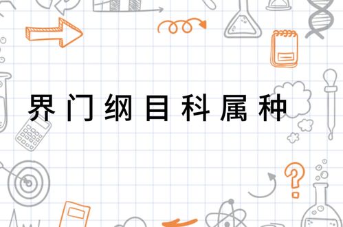 动物纲目科属 界、门、纲、目、科、属、种