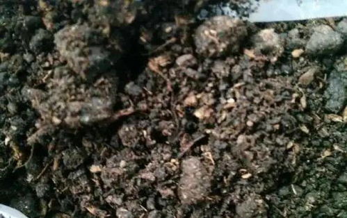 化肥是粪便做的吗 化肥是什么提炼的