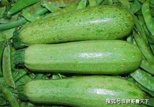 北方人说的北瓜 为什么北瓜叫死人瓜