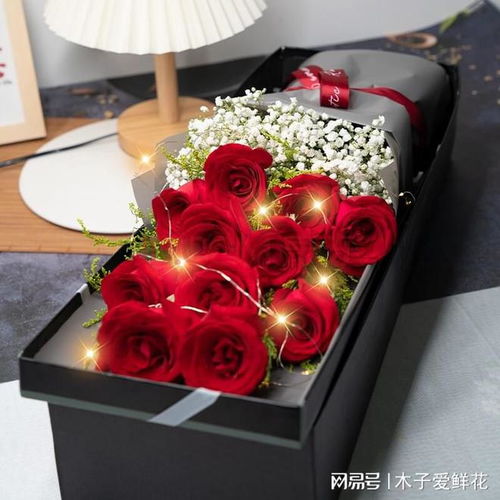 十一支玫瑰花寓意 11支红玫瑰花代表什么