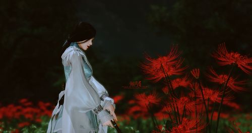 十大冥界之花之首 地府四大冥花