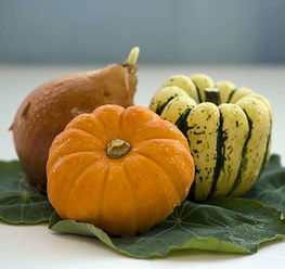 十大南瓜排行榜 十大最好吃南瓜图片