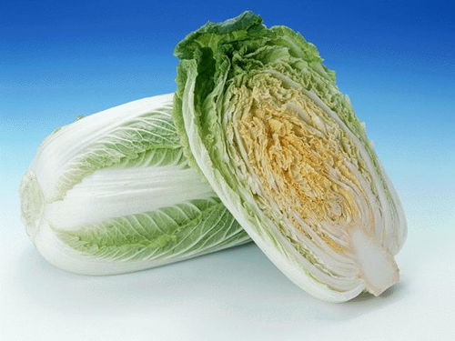 十大最好吃的白菜排名 十大名牌白菜种子