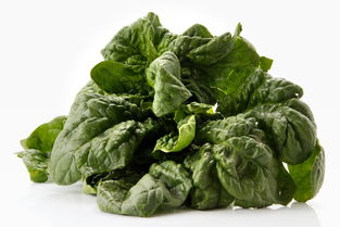 十大最有营养的蔬菜 十大蔬菜之王排名