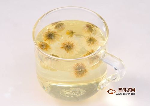 十大名贵菊花茶 中国品牌十大菊花