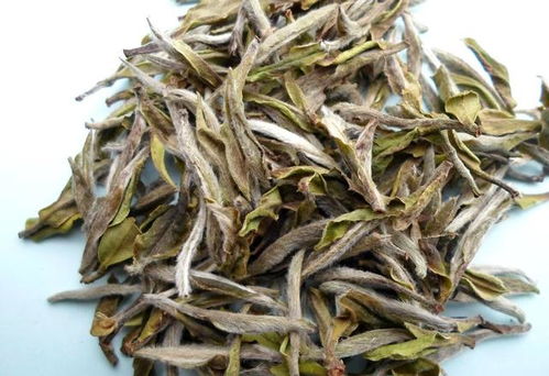 十大白茶排名 国内最好的十大白茶