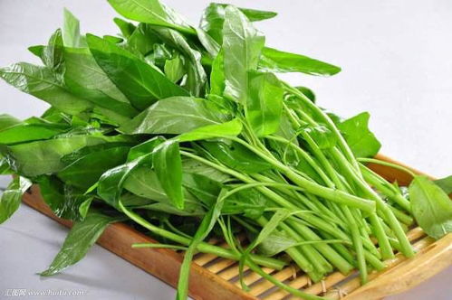 十字花科食物一览表 什么青菜不属于十字花科