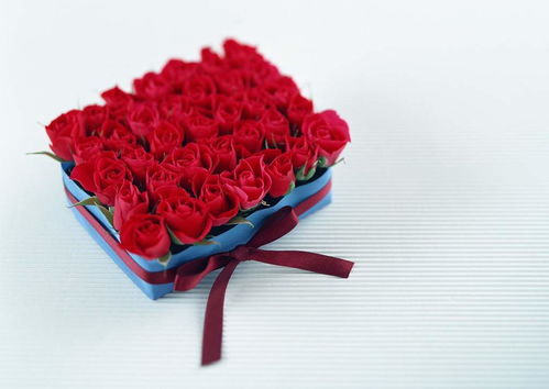 十大玫瑰花品种排名 真正的玫瑰只有三种