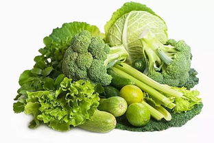 南方1一12月种蔬菜表 1一12个月蔬菜顺口溜