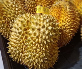 半生不熟的榴莲能吃吗 半生不熟的榴莲是死包吗