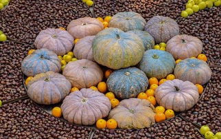 南瓜籽为什么伤肝 南瓜籽长期吃好不好