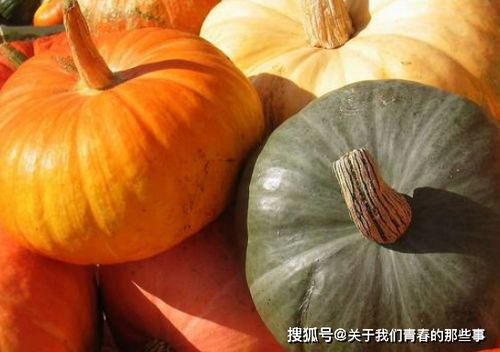 南瓜结果后多少天成熟 南瓜成熟的标志看哪里