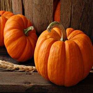 南瓜为什么不吉利 老人说南瓜不能送人