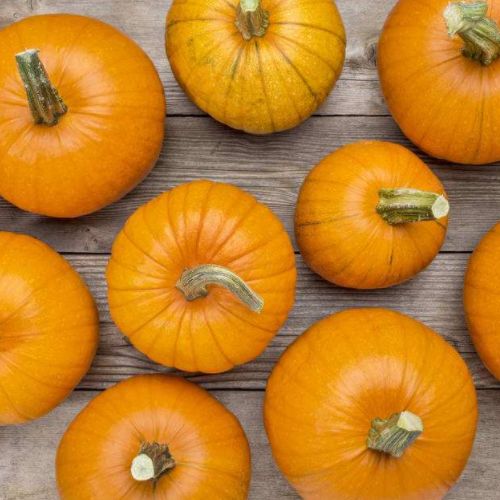 南瓜六种人不宜吃 有结节的人南瓜能吃吗