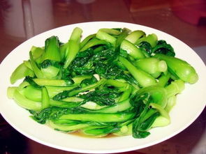 南方人把什么叫做青菜 广东人说的炒青菜是什么菜