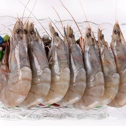 厄瓜多尔虾是海虾吗 厄瓜多尔虾吃着安全吗