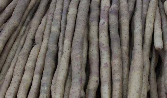 发芽的山药还能不能吃 山药长芽了削掉还能吃吗