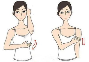 吃什么补乳房能变大 乳房松弛下垂怎样变紧致