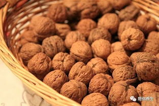 吃生核桃会不会中毒 生核桃怎么处理才能吃