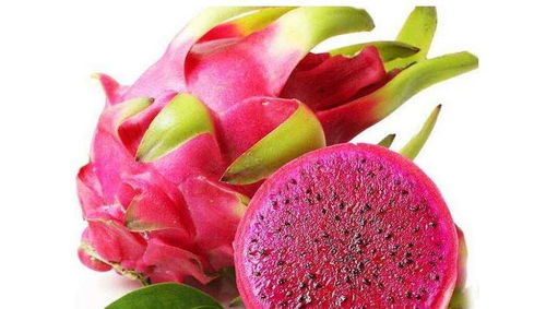 吃火龙果减肥还是增肥 减肥为什么不能吃红心火龙果