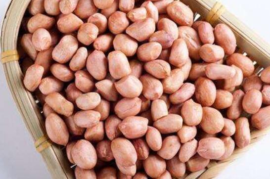 吃生花生一个月居然胸大了 生吃花生米的八大好处