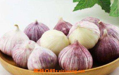 吃独头蒜有什么好处 独头蒜为什么不能吃